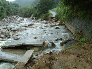 c0077338_2257157.jpg