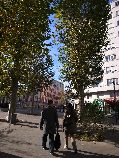 a0087341_21471744.jpg