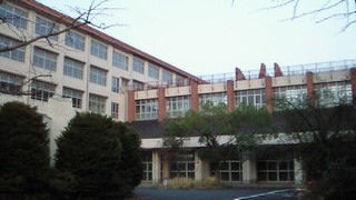 d0075741_2336590.jpg