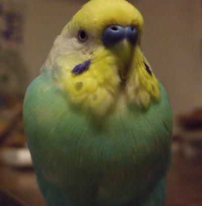 f0149057_2343463.jpg