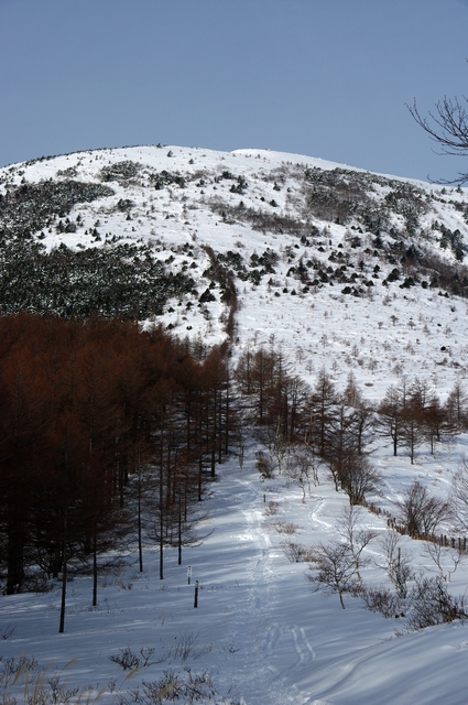 d0124687_23473019.jpg