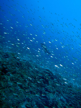 c0018489_22271975.jpg
