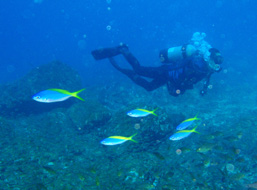 c0018489_2372665.jpg