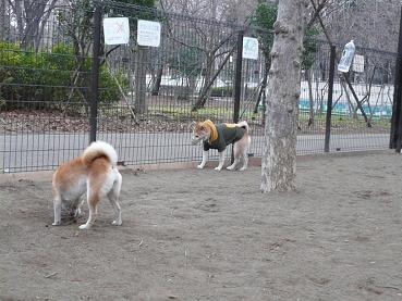 c0123890_17274139.jpg