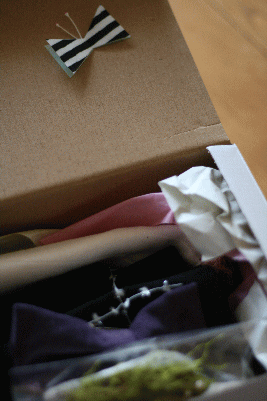 d0100192_2217168.gif