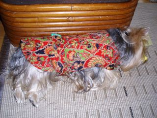 f0130894_1613927.jpg