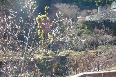 f0155795_18124357.jpg