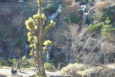 f0155795_181469.jpg