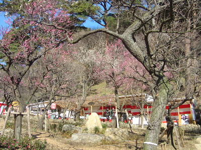 f0155795_1873956.jpg