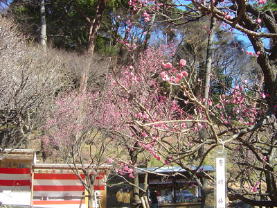 f0155795_188332.jpg