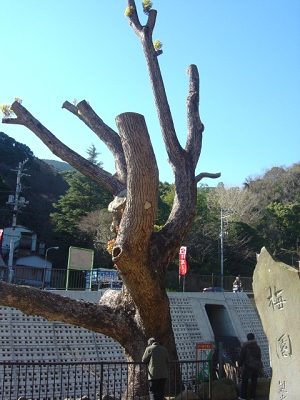 f0155795_188822.jpg