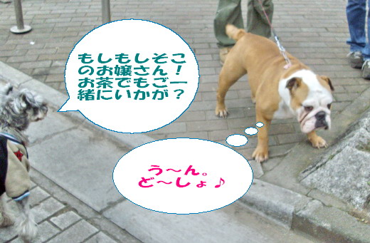 c0138198_17232669.jpg