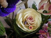 c0146598_24393.jpg