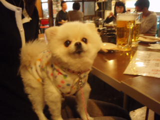 c0187898_1754484.jpg