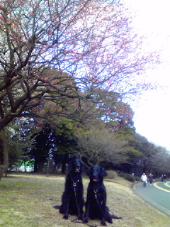c0050400_2125463.jpg