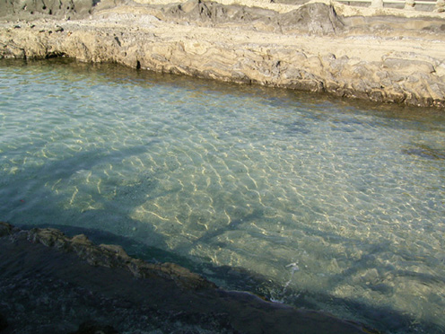 e0043700_19383793.jpg