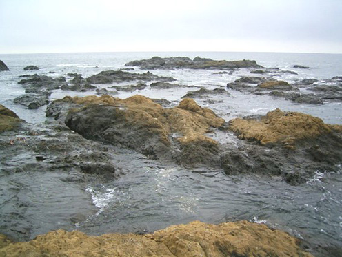 e0043700_213122100.jpg