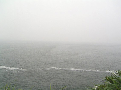 e0043700_2182257.jpg