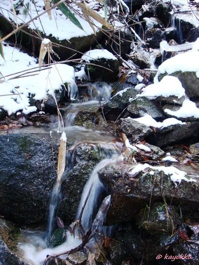 e0007801_12162770.jpg