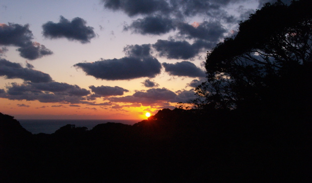 e0089001_2120123.jpg