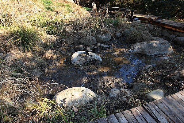 e0117503_21282070.jpg