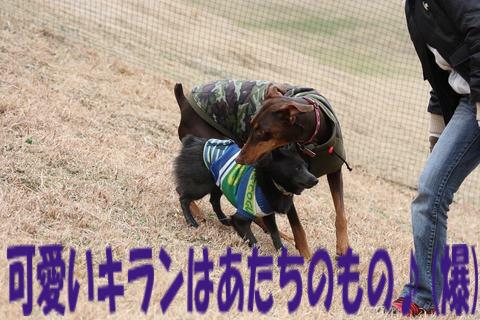 e0100007_22215096.jpg
