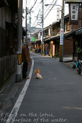 b0075318_14192336.jpg