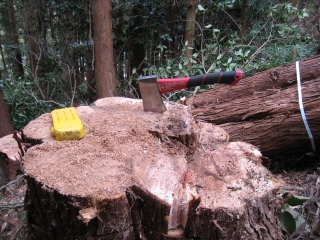 e0002820_23123644.jpg