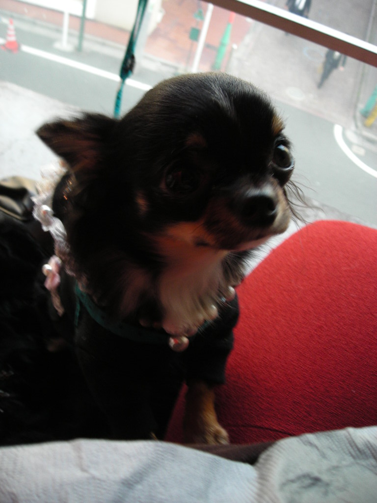 c0149622_21571183.jpg