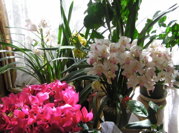 f0128723_08626.jpg