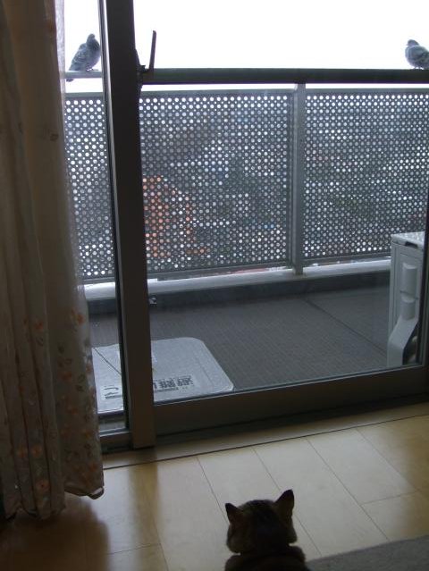 f0055228_19322794.jpg