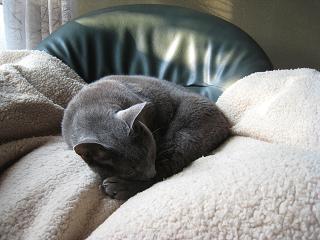 b0155830_1457217.jpg