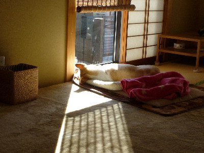 d0140133_18302095.jpg
