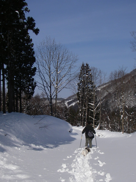 e0008833_11532924.jpg