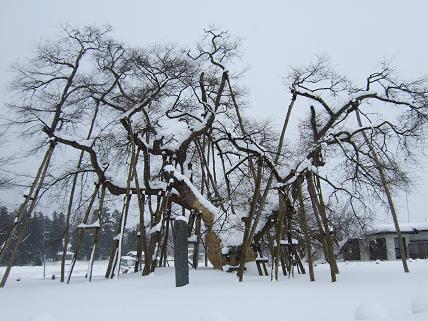 c0154637_942107.jpg
