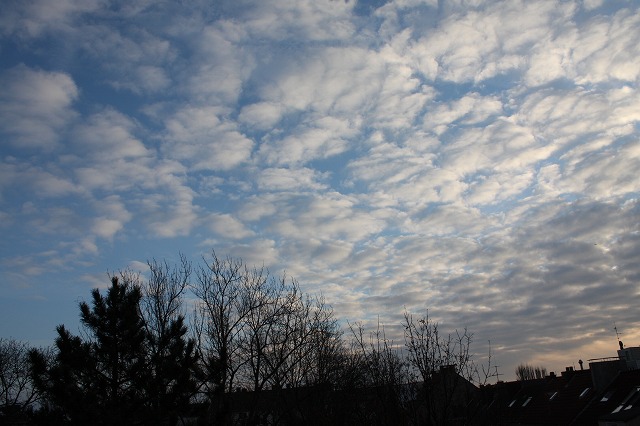c0153740_5275753.jpg