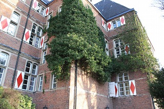 c0153740_5355482.jpg
