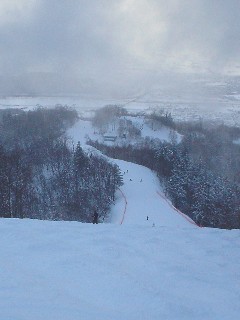 f0045846_8443412.jpg
