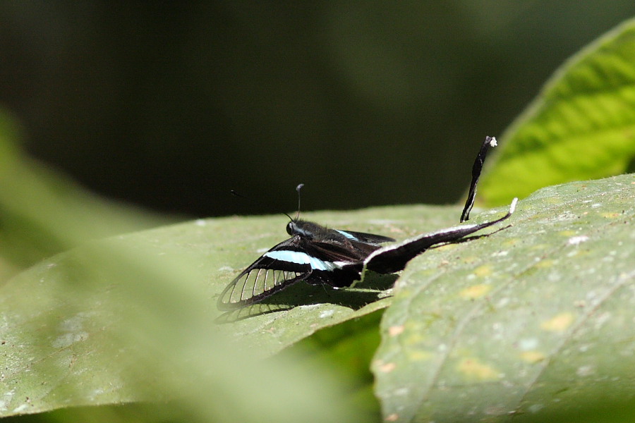 a0094850_20161640.jpg
