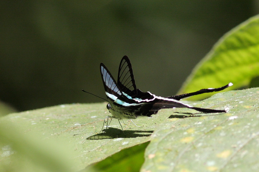 a0094850_2016470.jpg