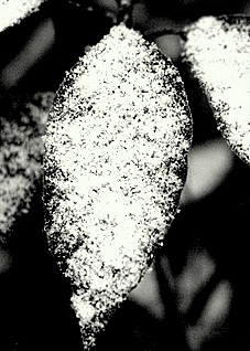 f0173150_235337.jpg