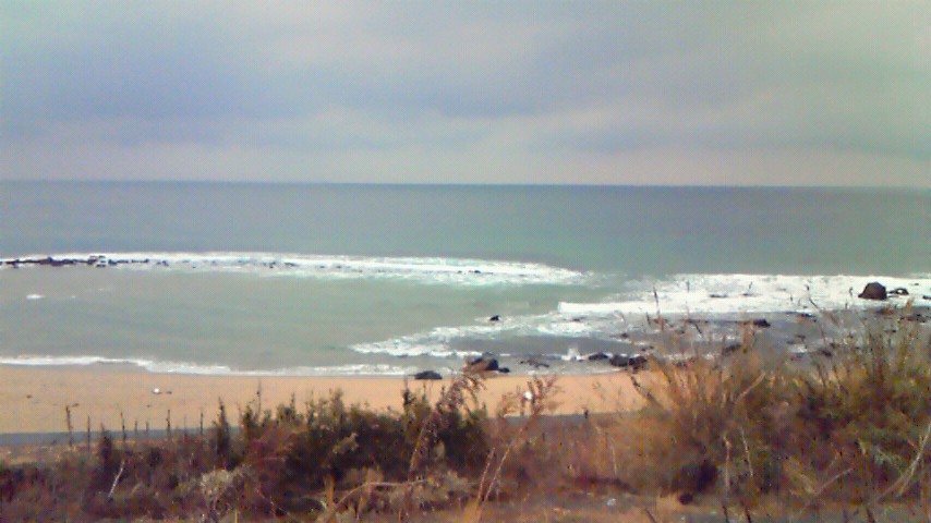 c0019951_2330173.jpg