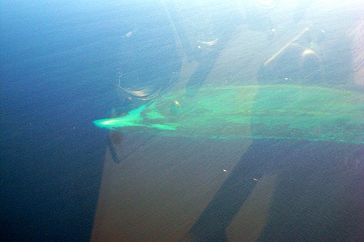 f0013251_3293277.jpg