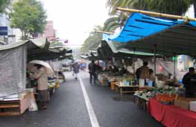 f0062055_178546.jpg