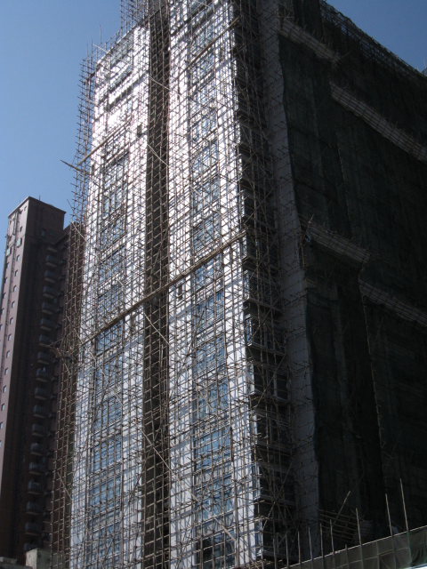 b0055171_1654895.jpg