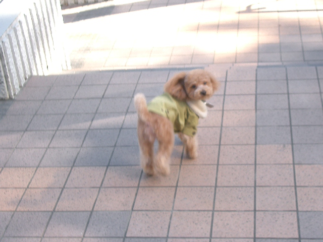 c0162773_927159.jpg