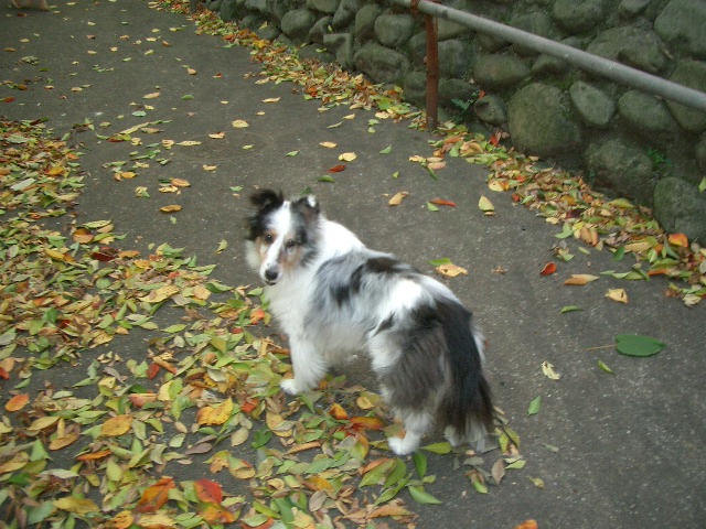 c0162773_9273130.jpg
