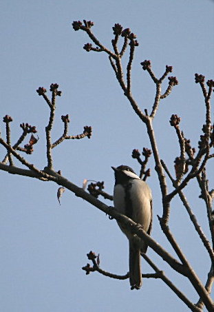 f0181173_20133184.jpg