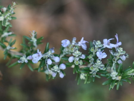 f0181173_20264583.jpg