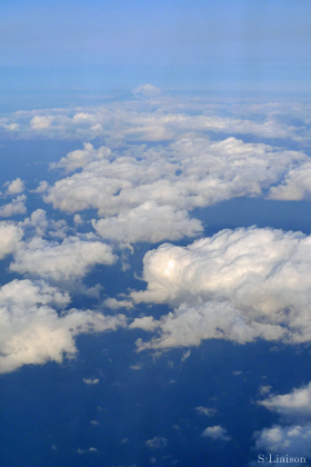 b0139477_234532.jpg
